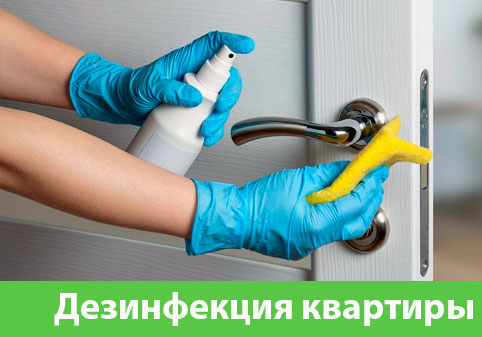 Дезинфекция квартиры в городе Рязань