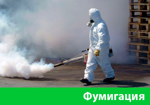 Фумигация в городе Рязань