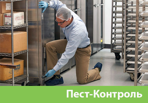 Пэст-Контроль в городе Рязань