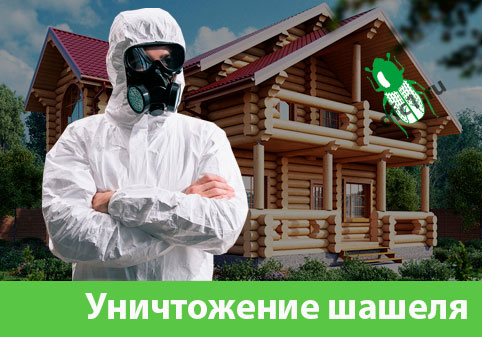 Уничтожение шашеля и личинок в Рязани