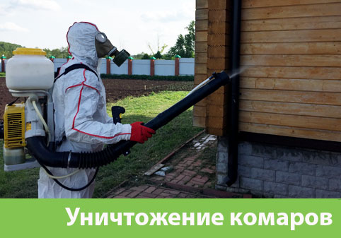 Уничтожение комаров в городе Рязань