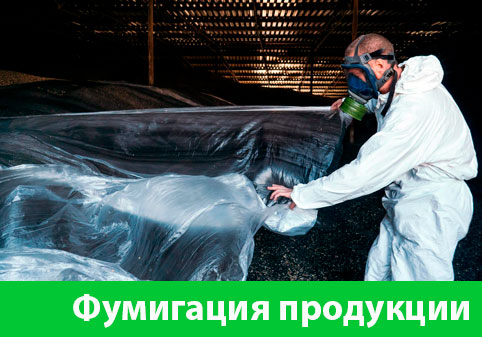 Фумигация продукции в городе Рязань